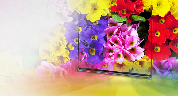 Panasonic TV